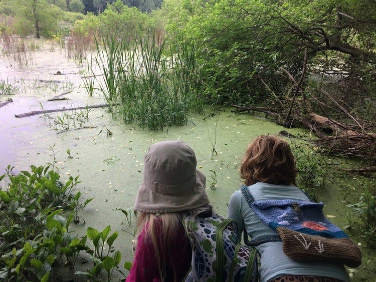 Two people looking at a swampy pond with green algae and tall grasses