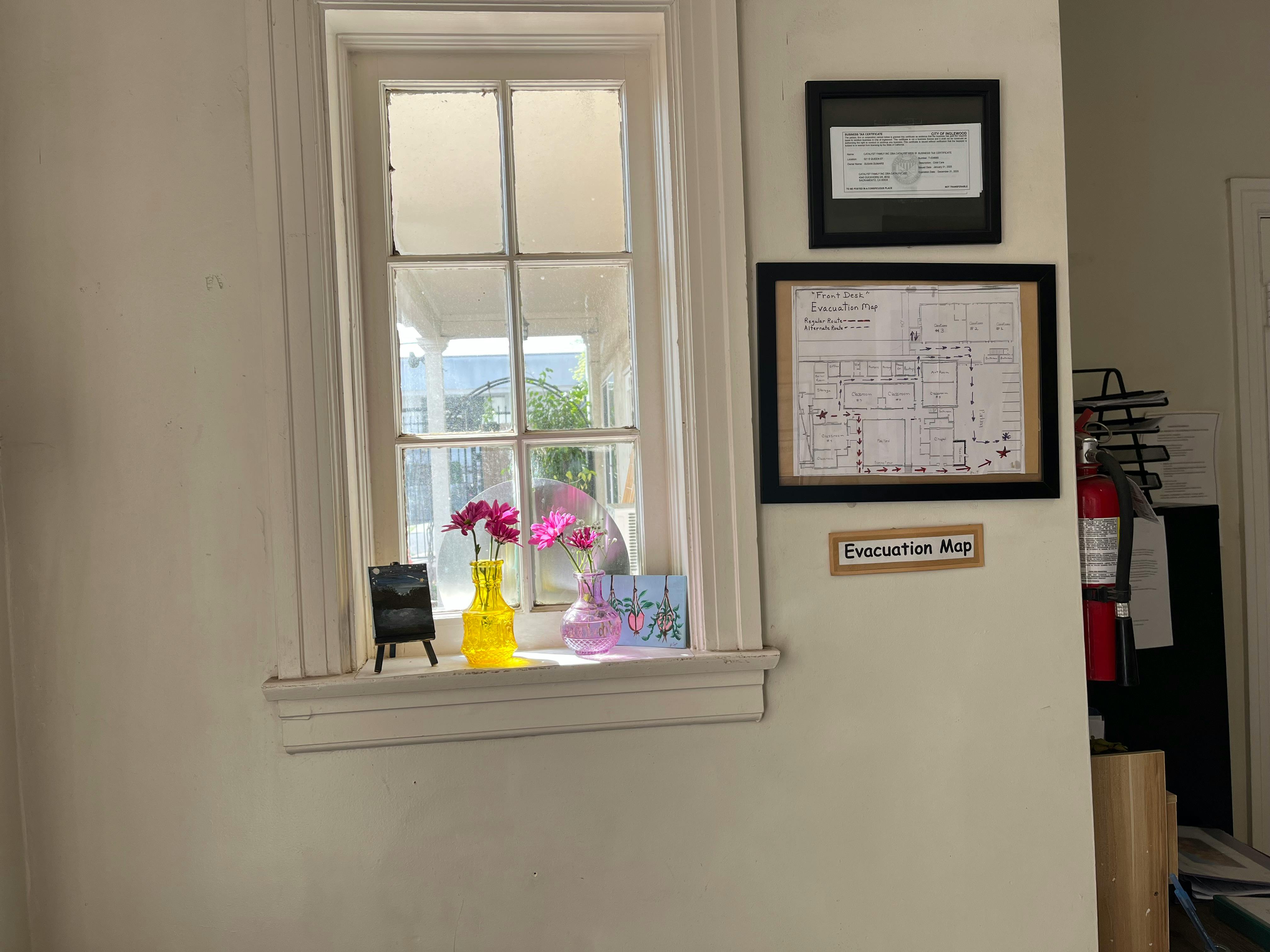 Window with flowers on the sill and framed documents on the wall