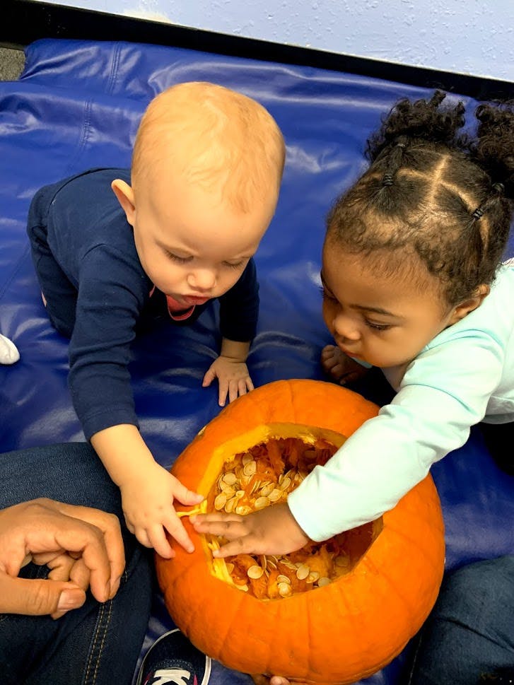 Two babies exploring the inside of a pumpkin