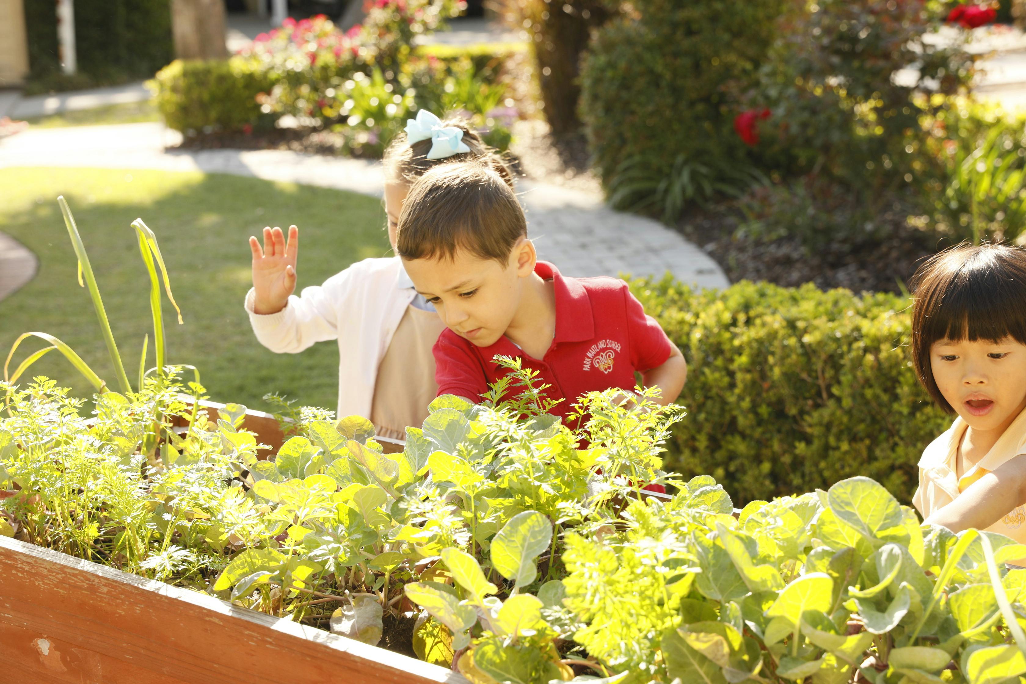 Three children looking at plants in a raised garden bed