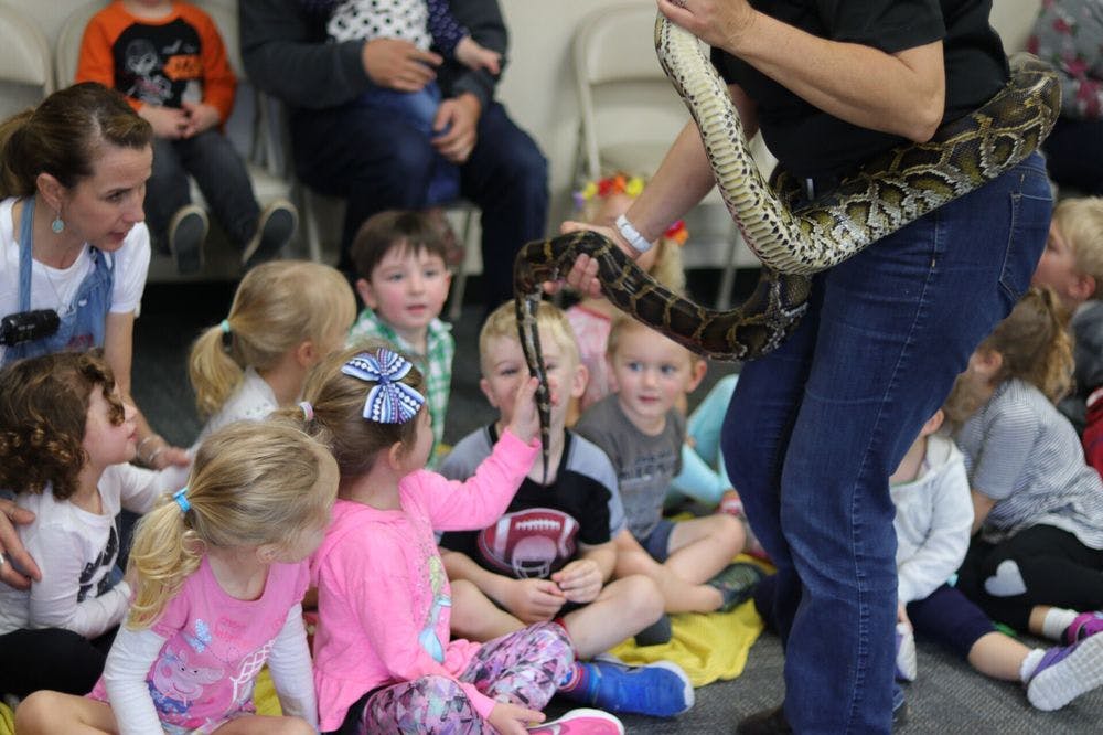 Person holding a snake for a group of children