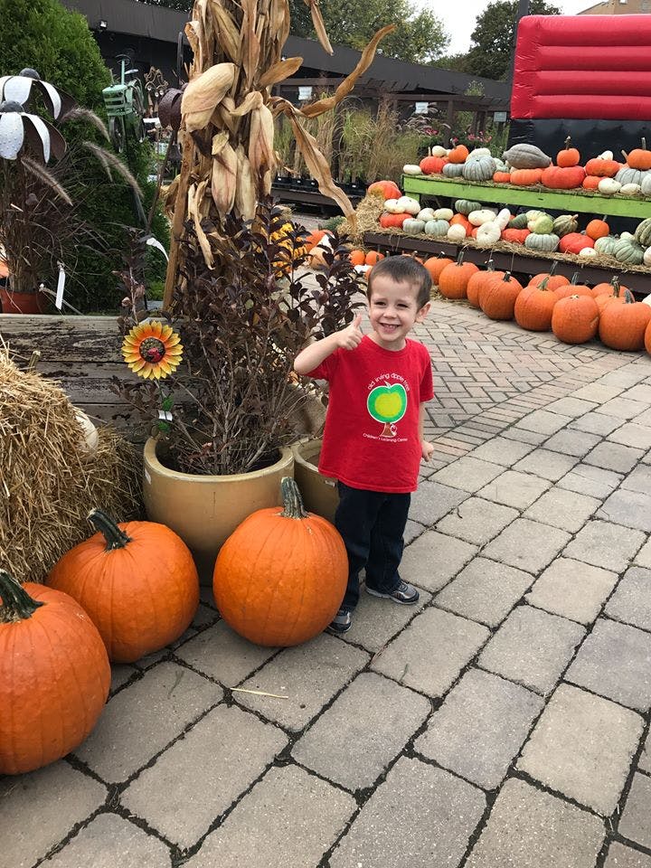 Child in red shirt giving a thumbs up next to pumpkins