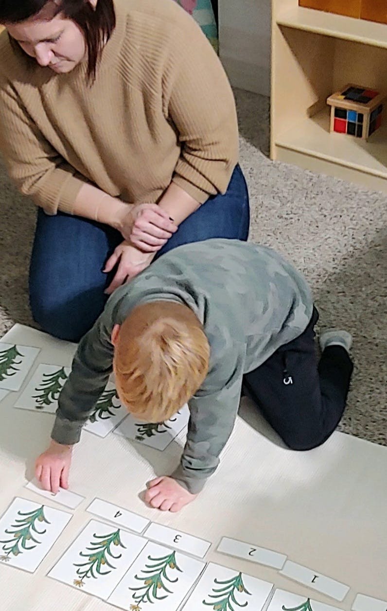 Person kneeling behind a child who is arranging cards with tree illustrations and number images
