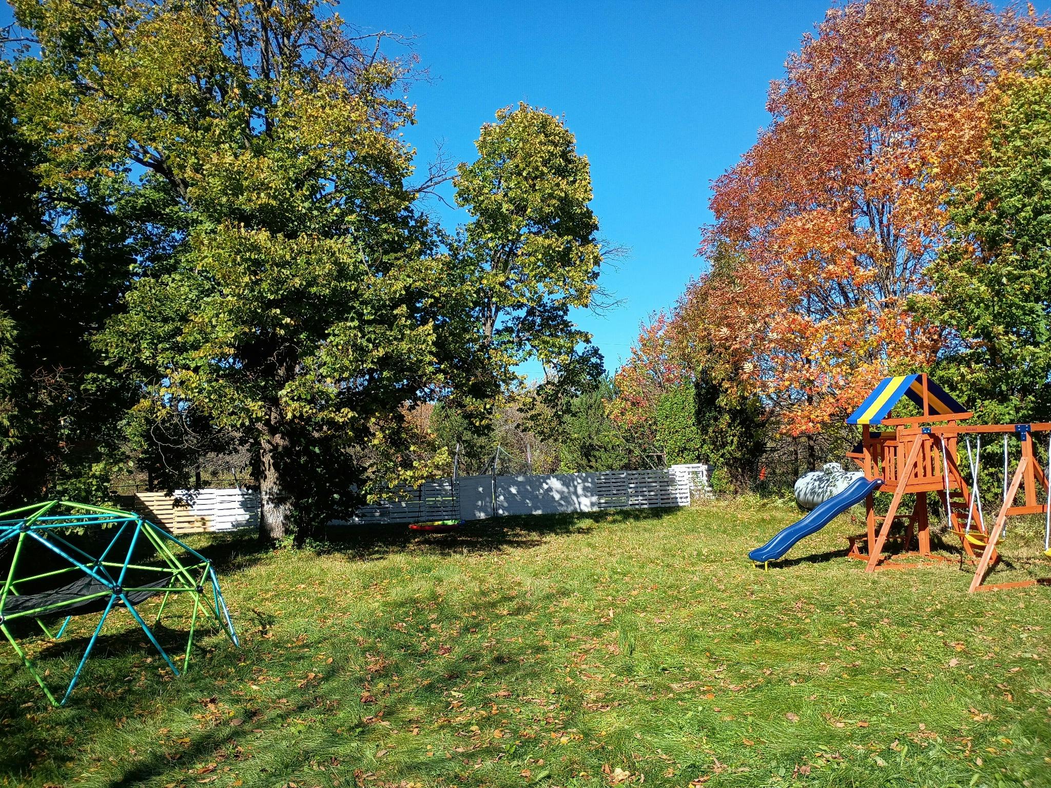 Playground equipment in a grassy yard during autumn