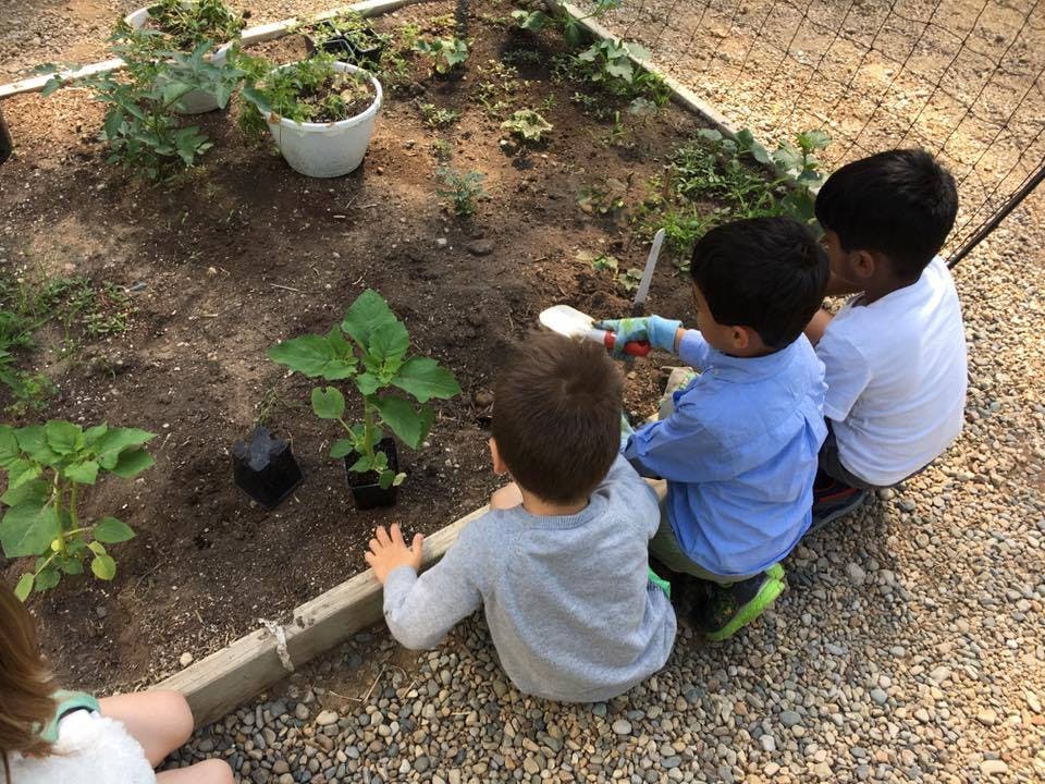 Three children planting in a garden