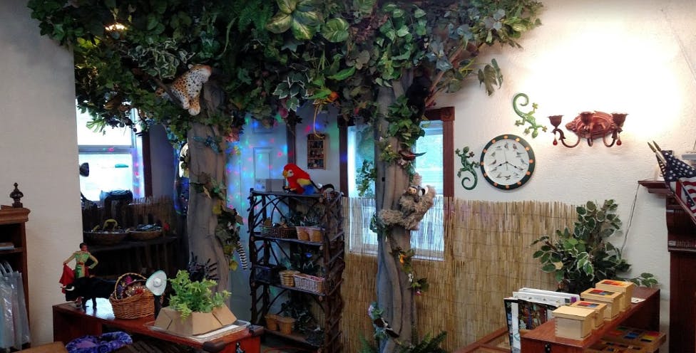 Indoor room with a large artificial tree, wall clock, and decorations
