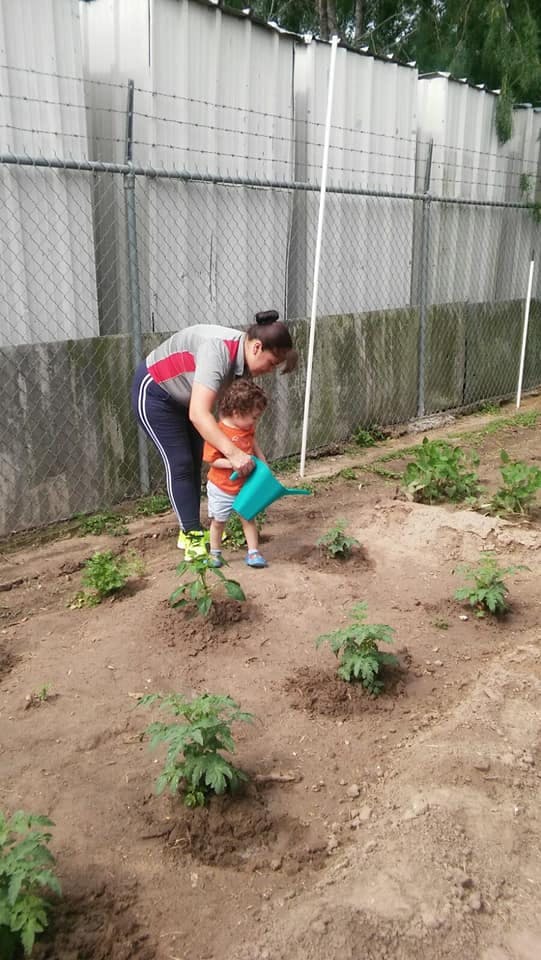 Person and child watering plants in a garden