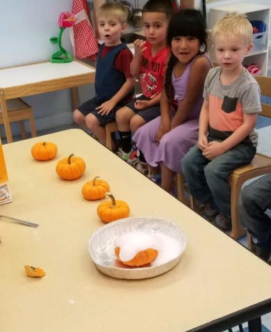 Children watching small pumpkins on a table, one in a bowl with foam