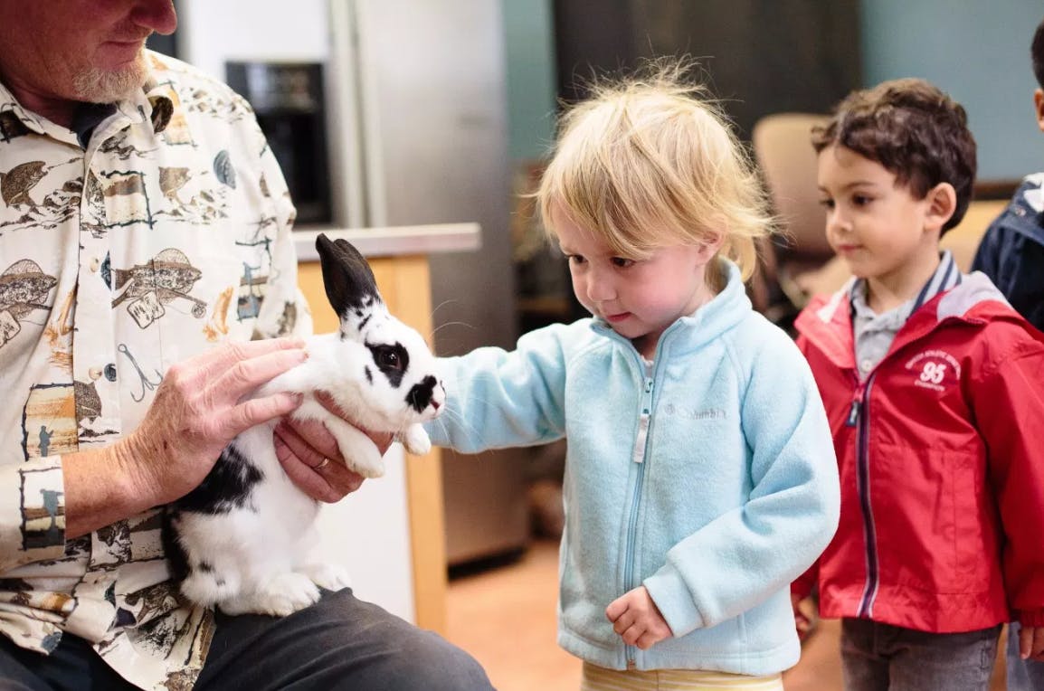 Person holding a rabbit while a child reaches out to touch it