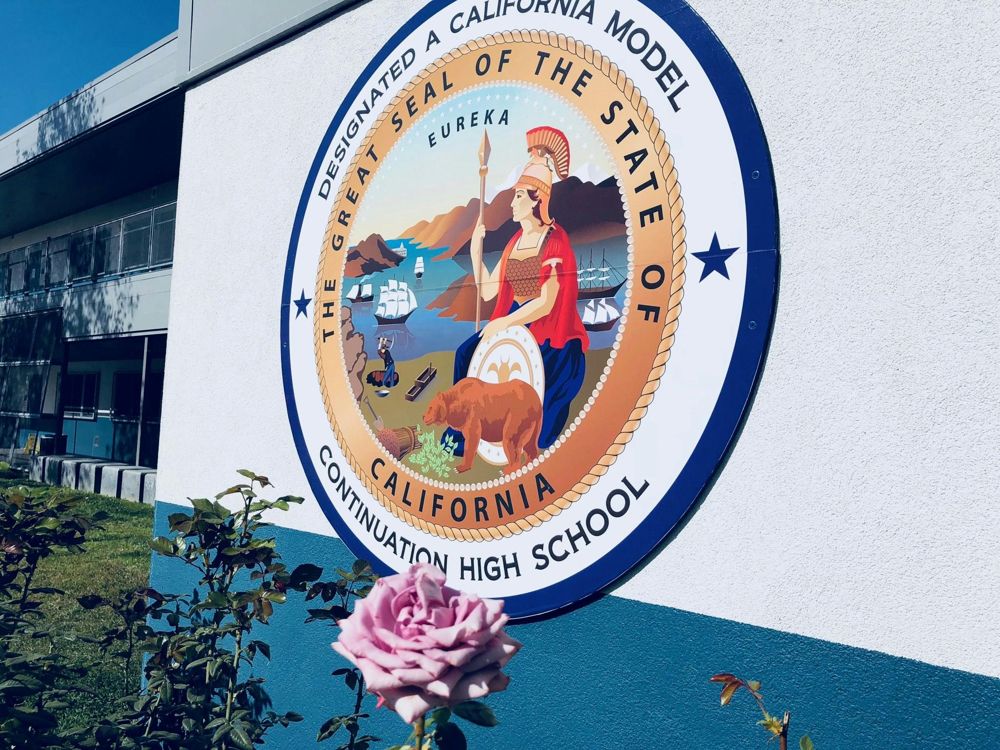California state seal on a building with a pink rose in the foreground