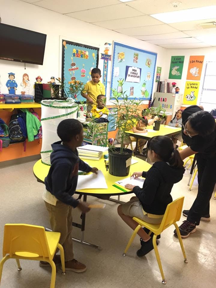 Children and an adult in a classroom around tables