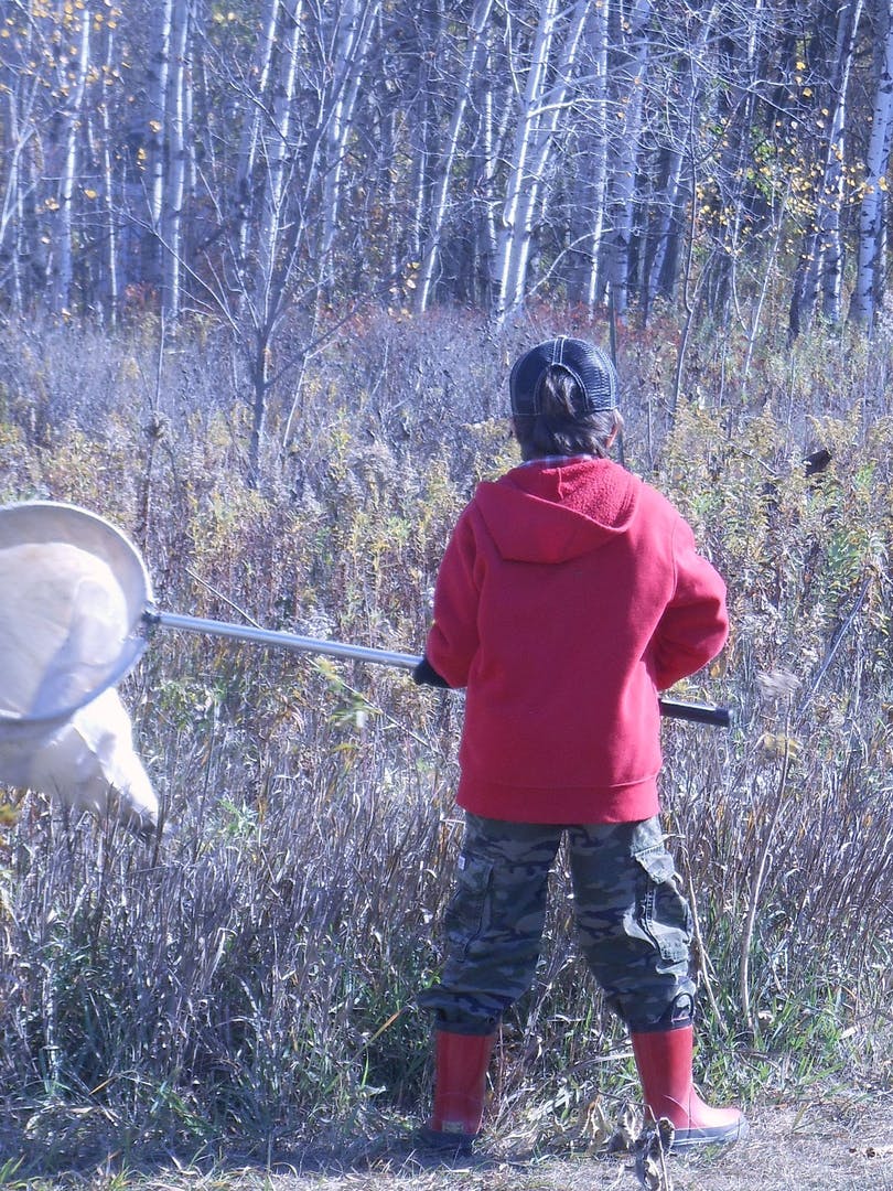 Child in red hoodie and camo pants holding a net in a field