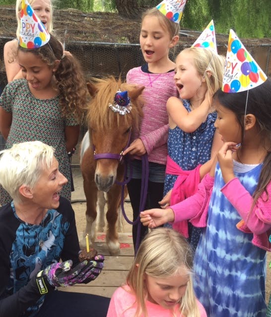 People and children in party hats with a small pony wearing a crown