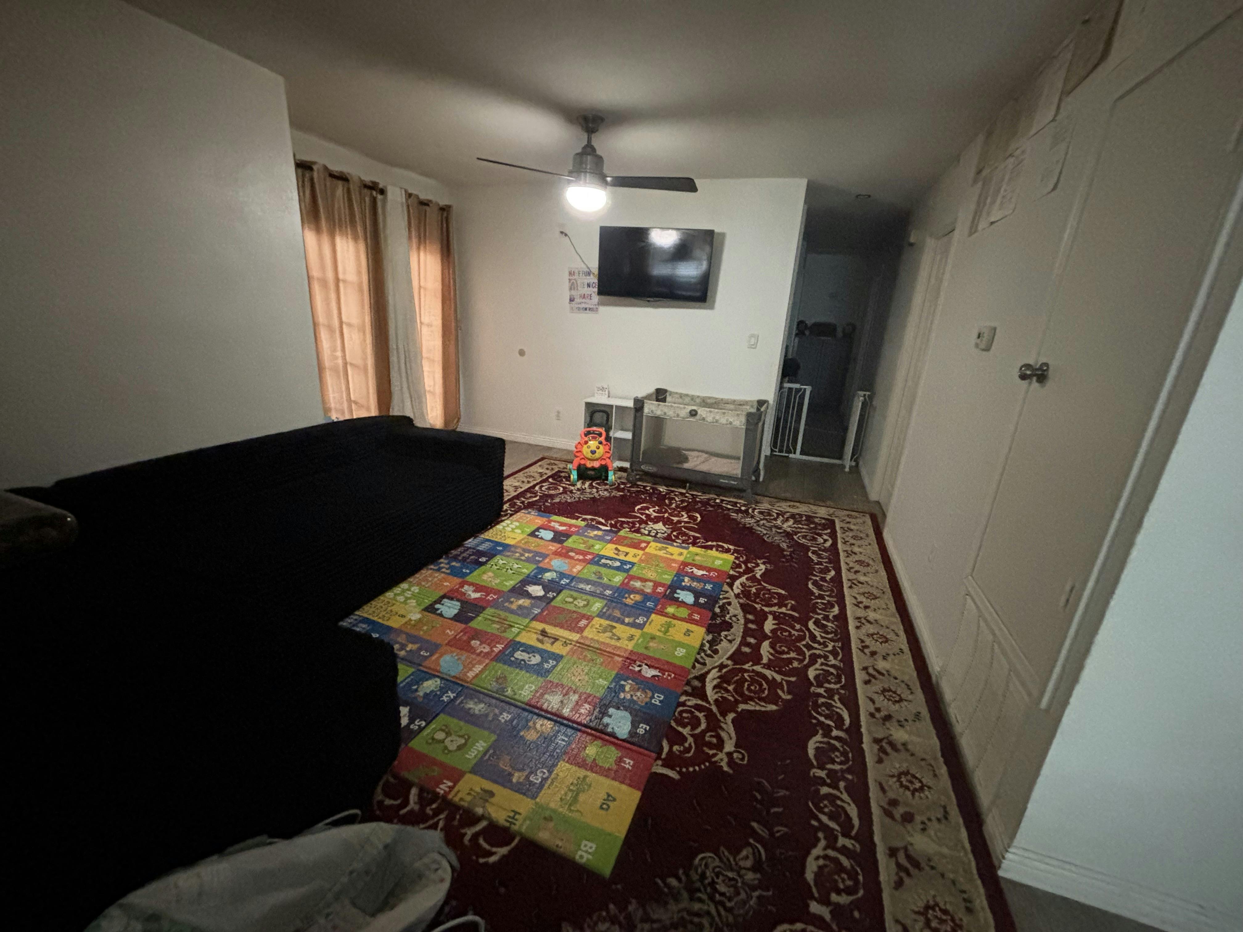 Living room with a sofa, a patterned rug, and a children's foam play mat