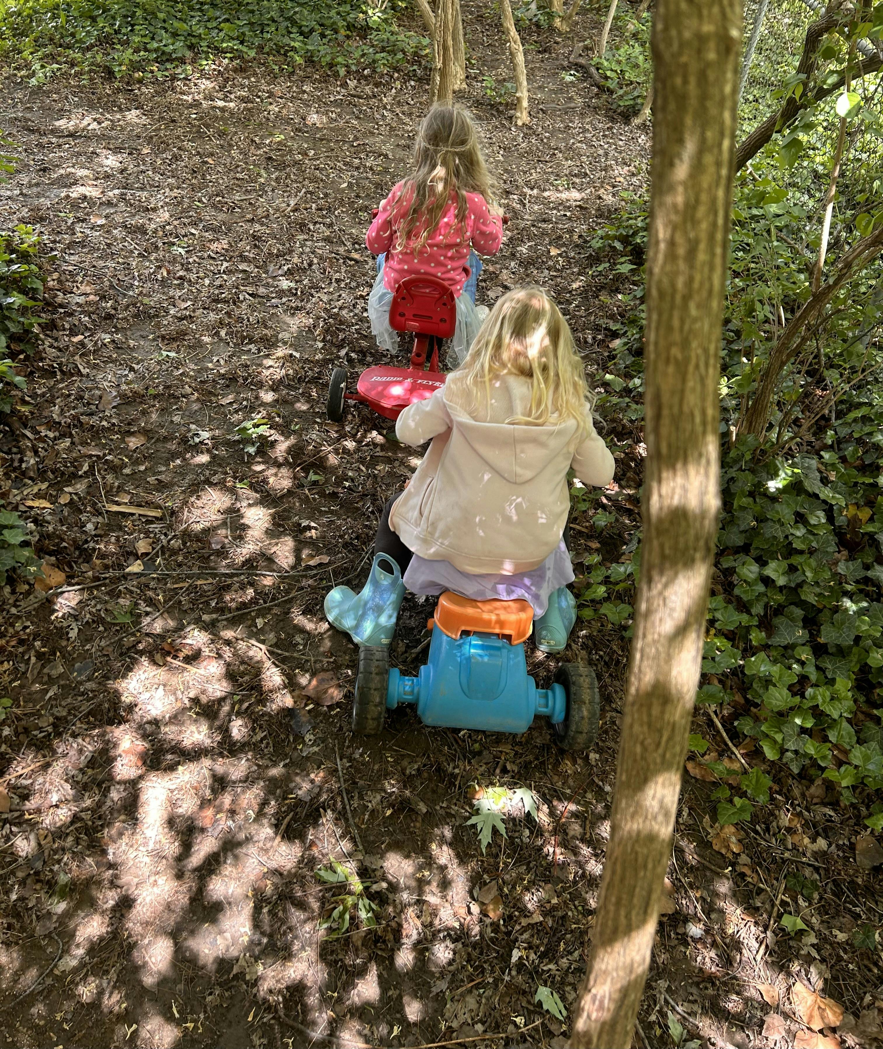 Two children riding tricycles on a dirt path with trees and foliage
