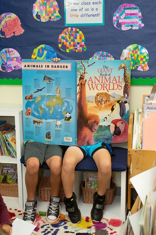 Children sitting behind large books about animals in a classroom