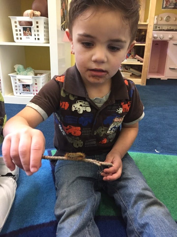 Child holding a stick with a caterpillar on it in a classroom