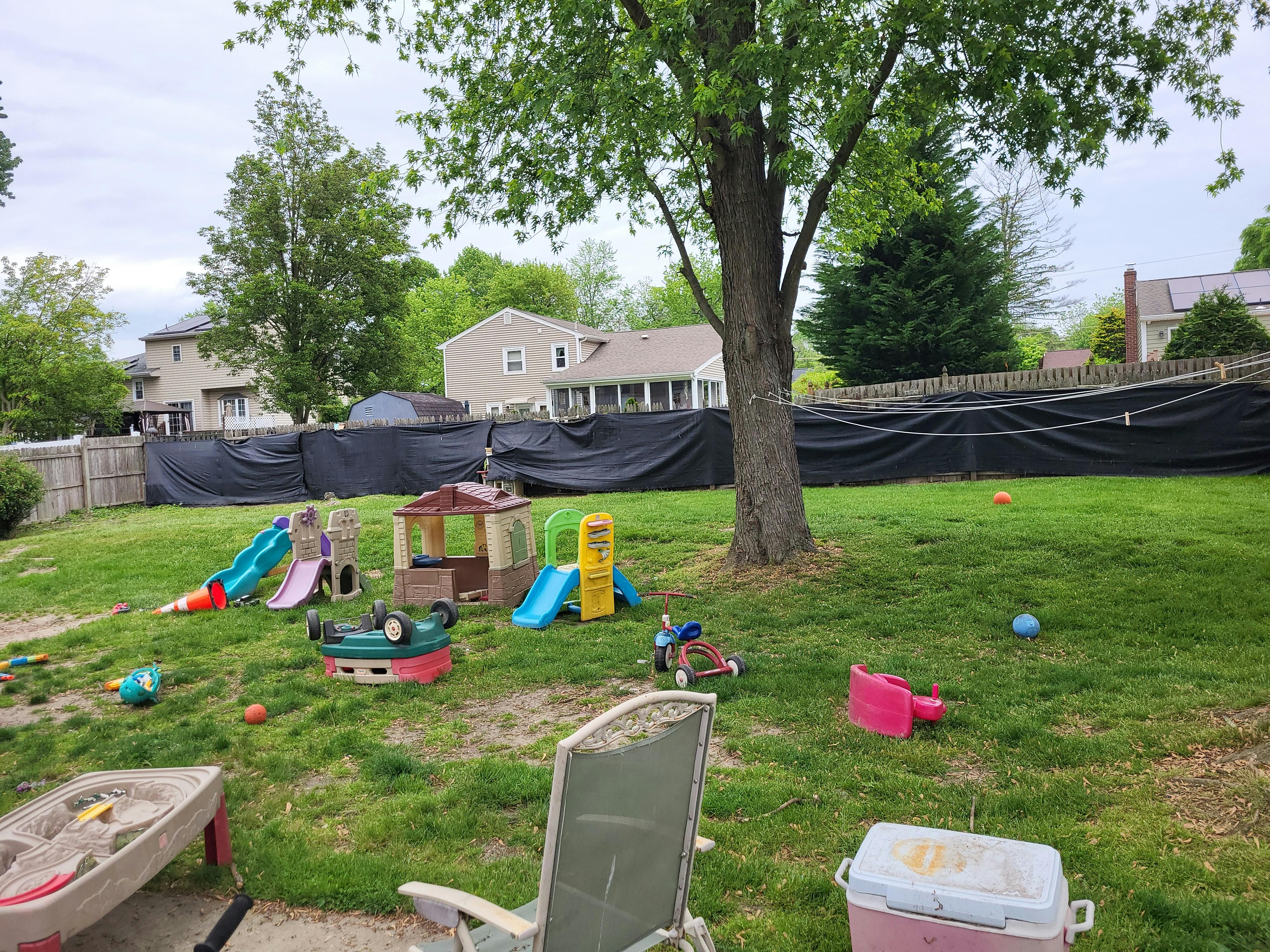 Backyard with play structures and a tree