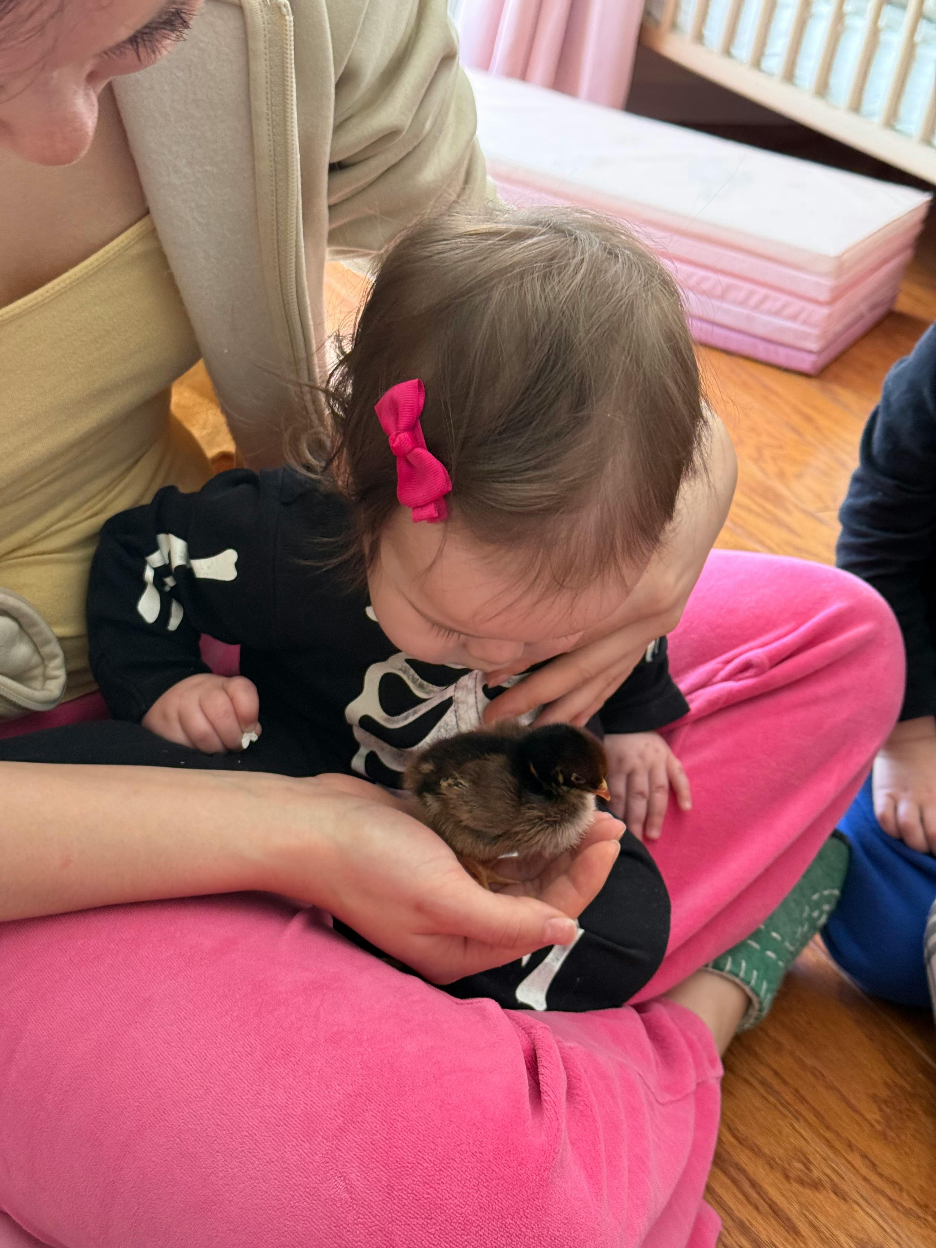 Person holding a chick while a child looks on