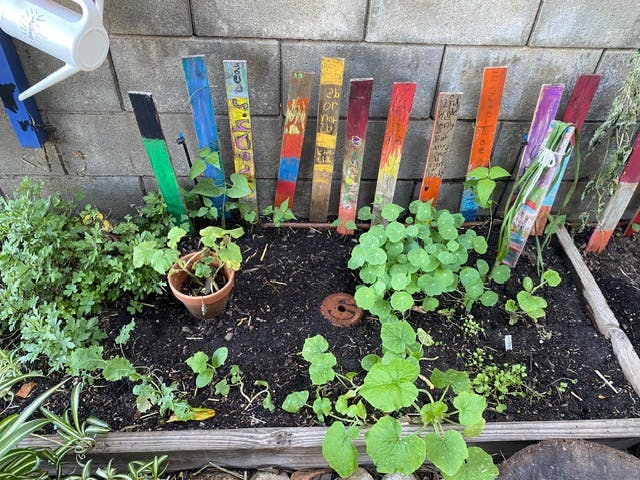 Garden bed with various plants and colorful painted wooden stakes