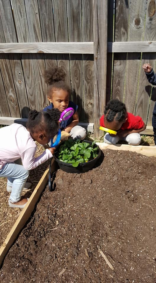 Three children looking at plants in a garden bed