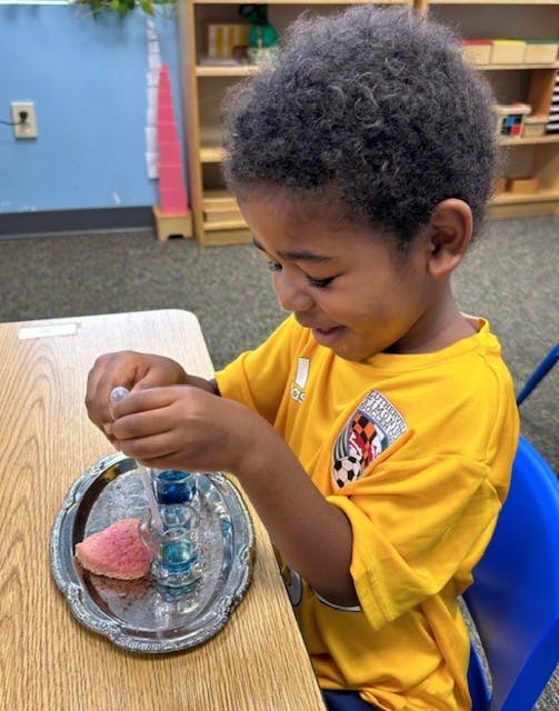 Child using a dropper with liquid on a tray