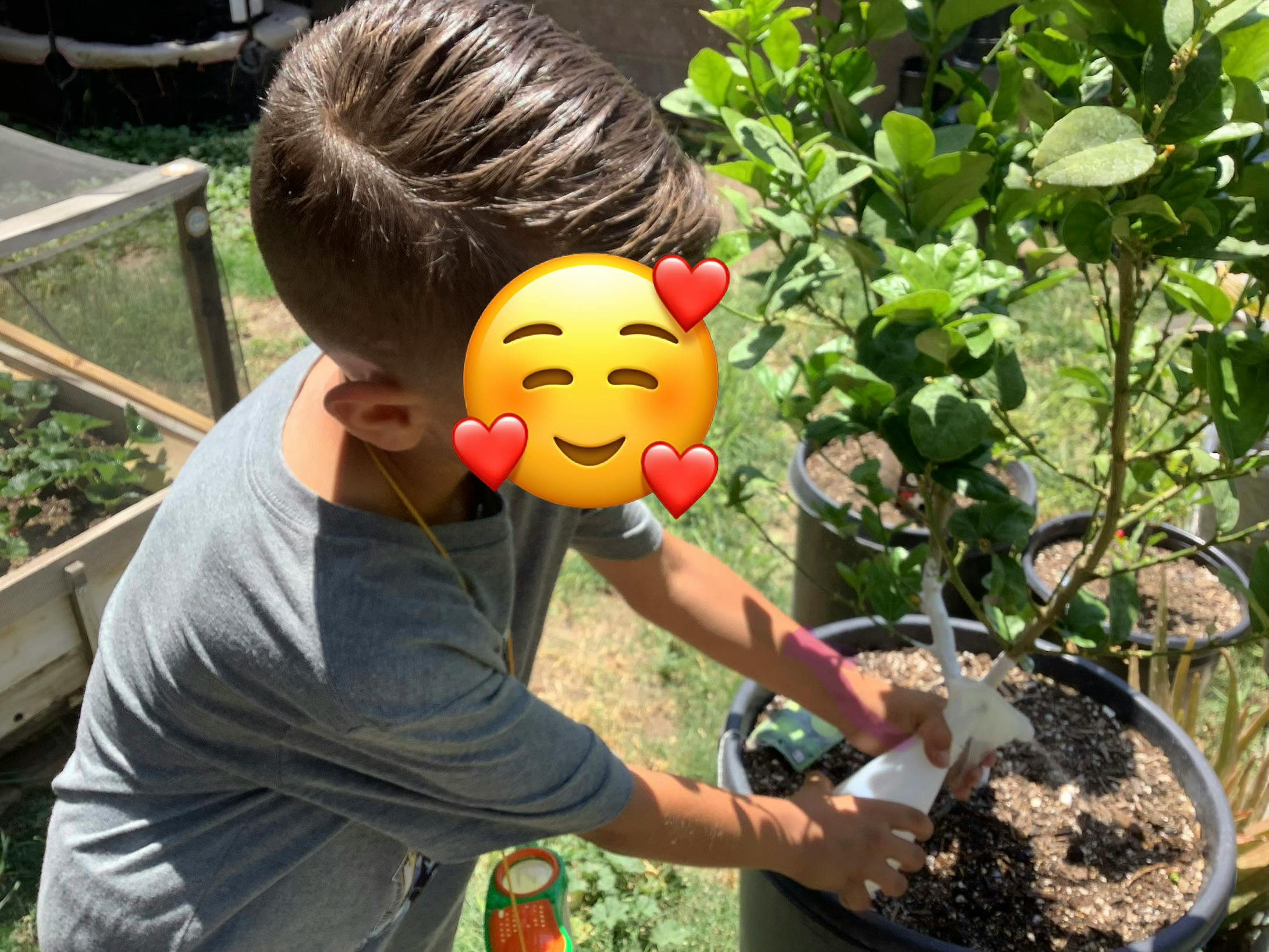 Child spraying water on a potted plant outdoors