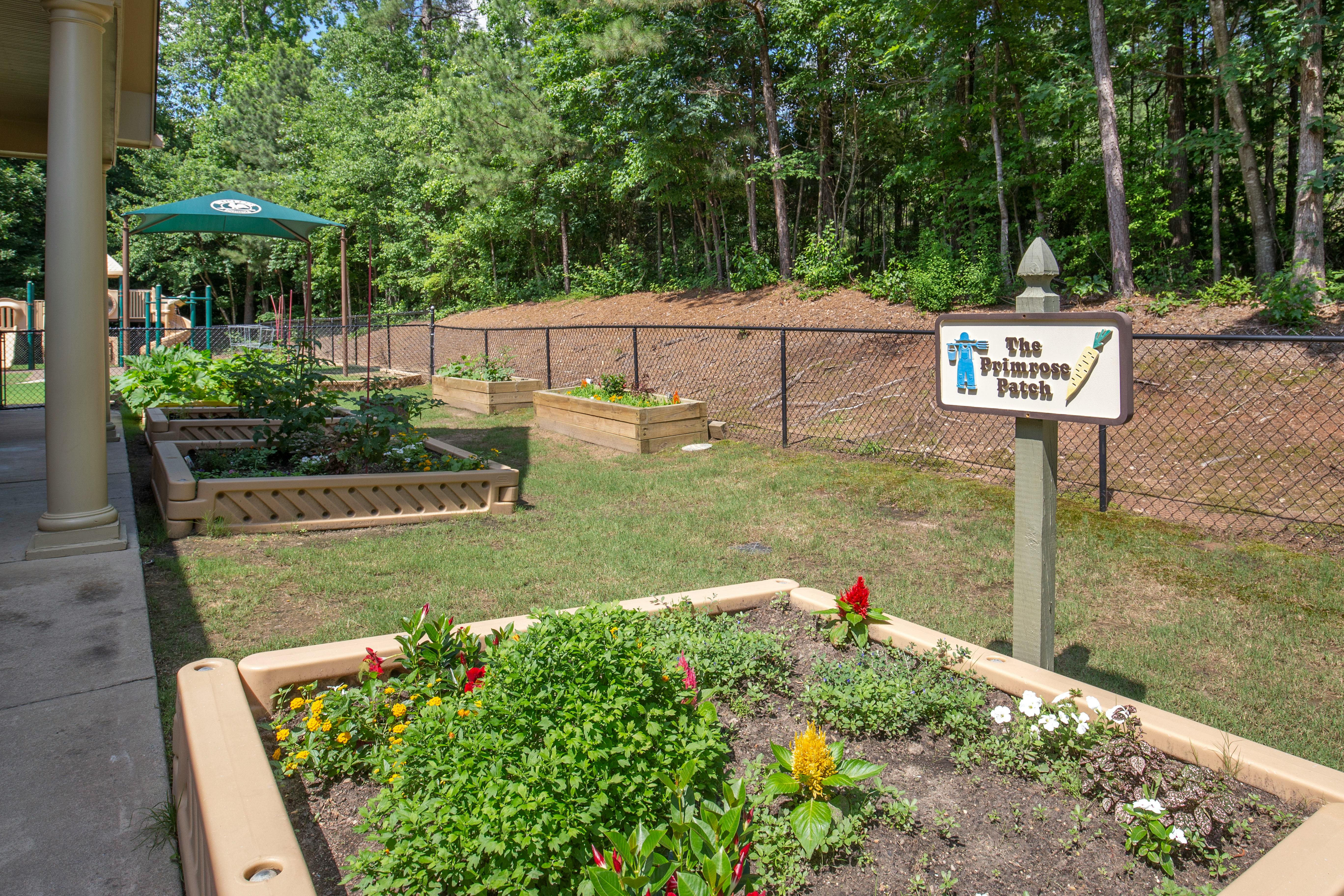 Raised garden beds with plants and flowers, with a playground in the background