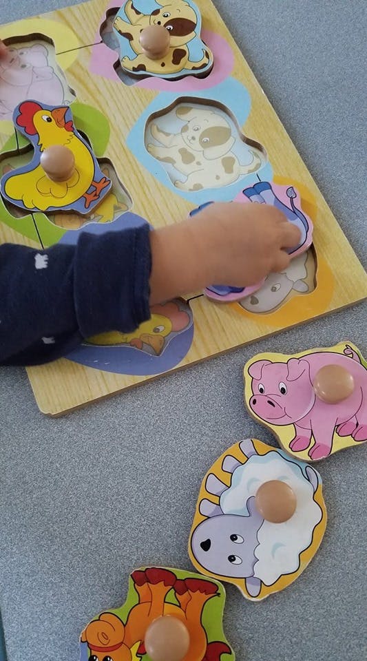 Child's hand placing an animal puzzle piece into a wooden board