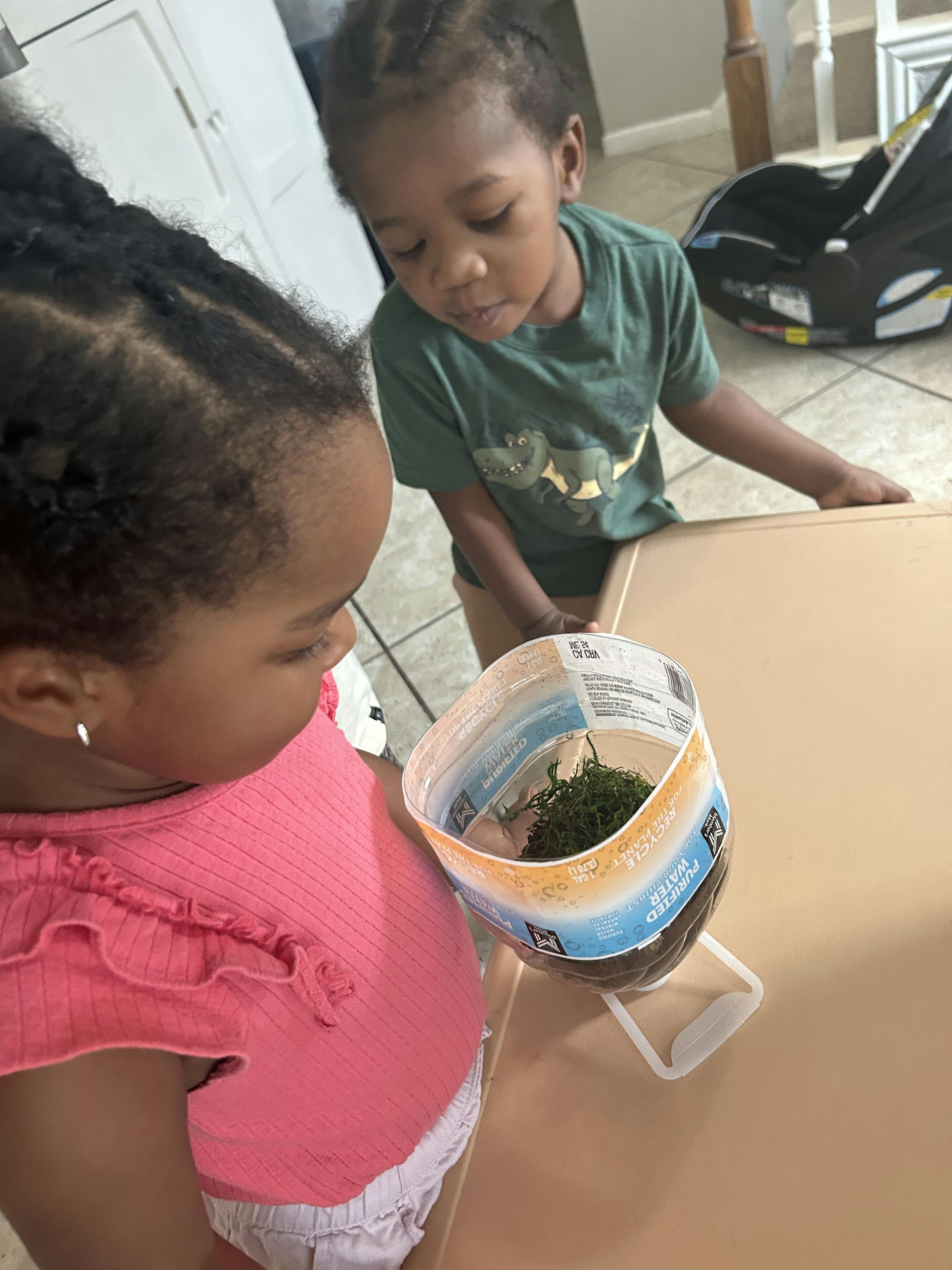 two children looking at a terrarium made from a plastic bottle