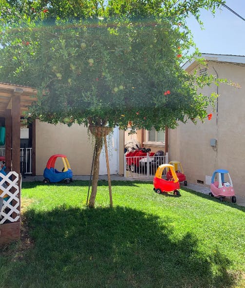 Toy cars on a grassy lawn under a tree