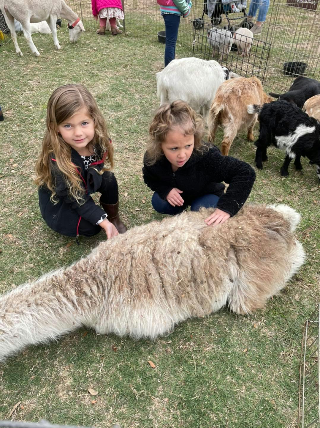 Two children petting a llama on the ground
