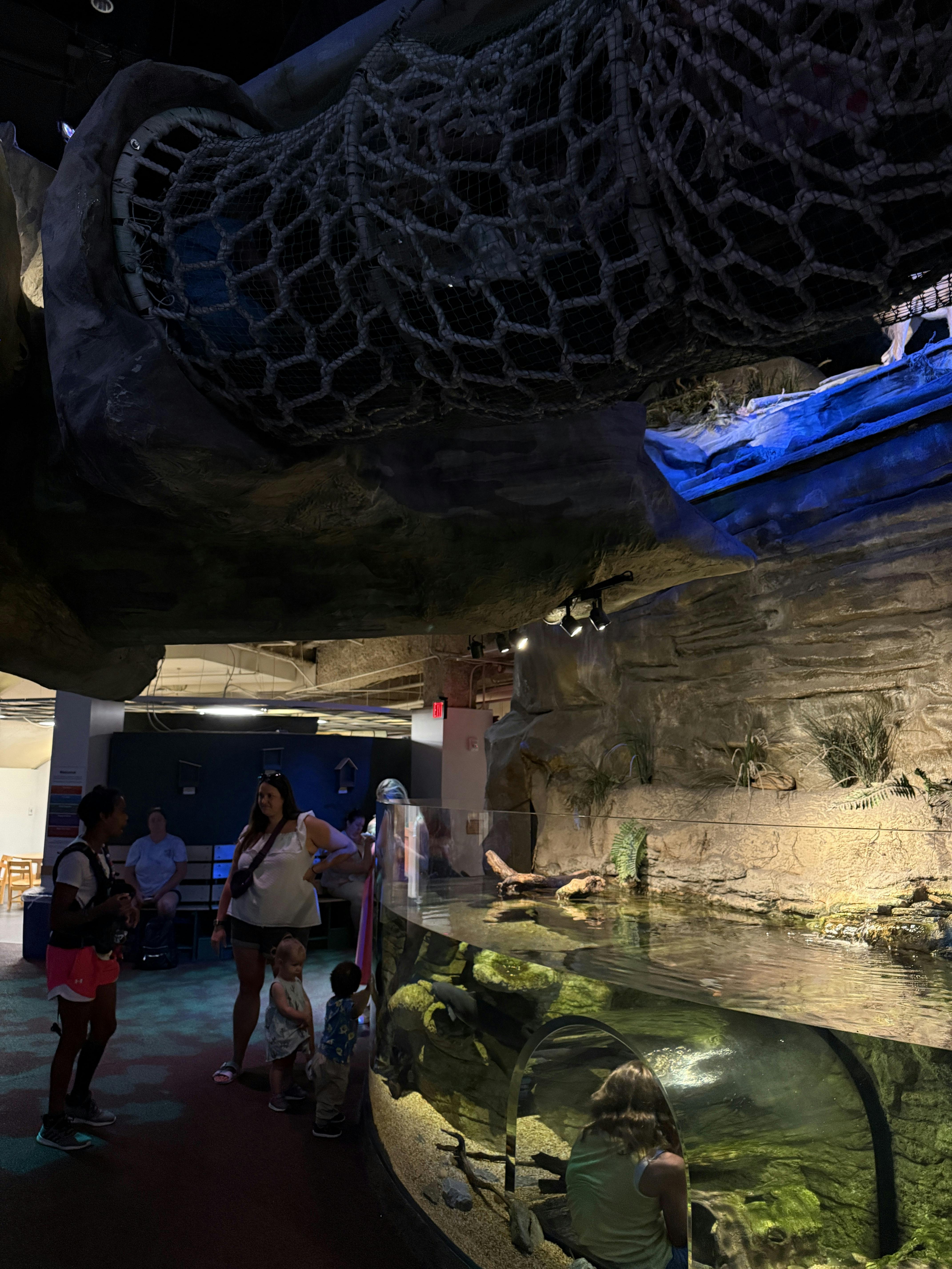 People and children looking at an aquarium tank in-door aquarium