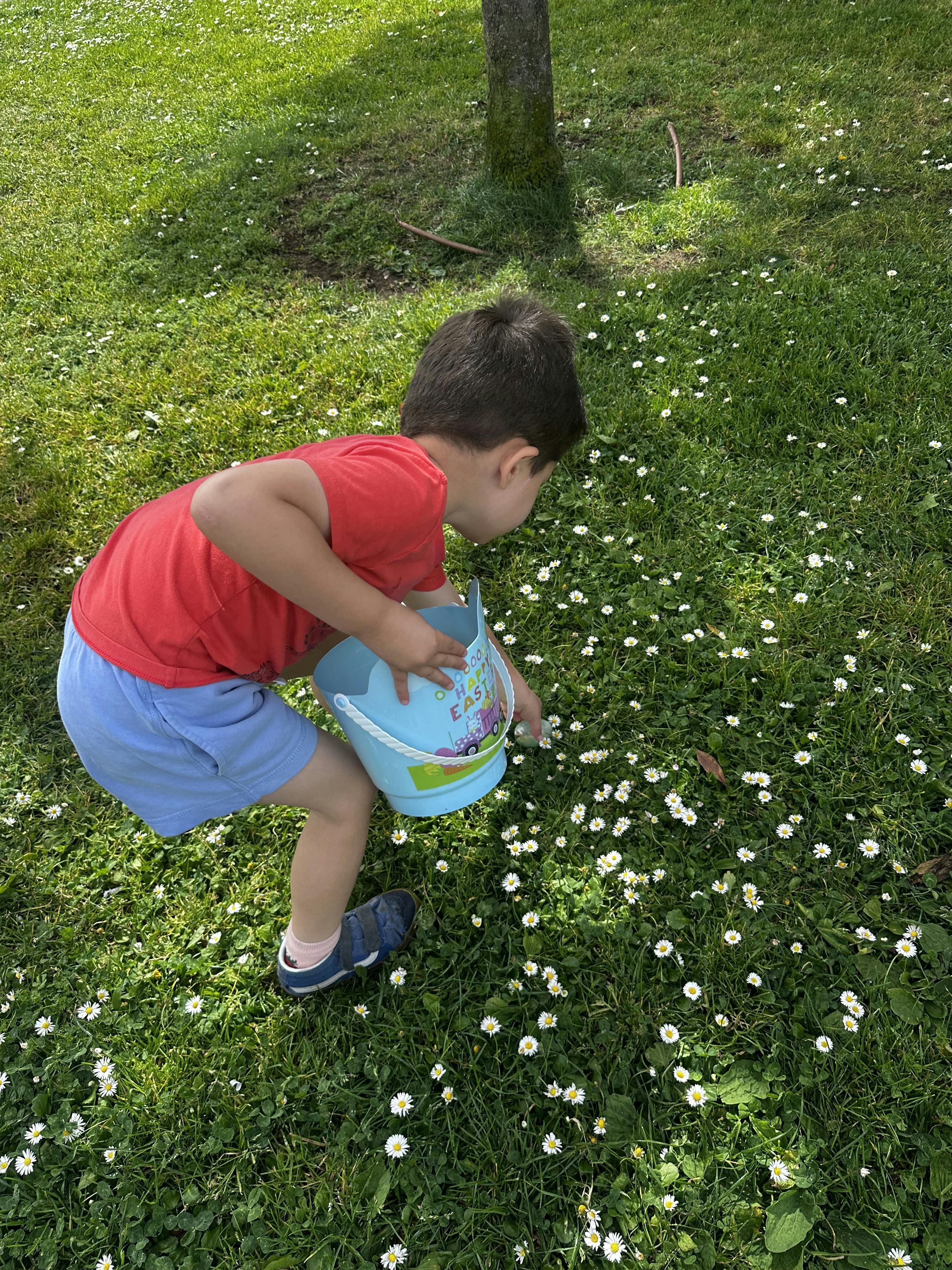 Child collecting small items in a blue bucket in a grassy field with white flowers