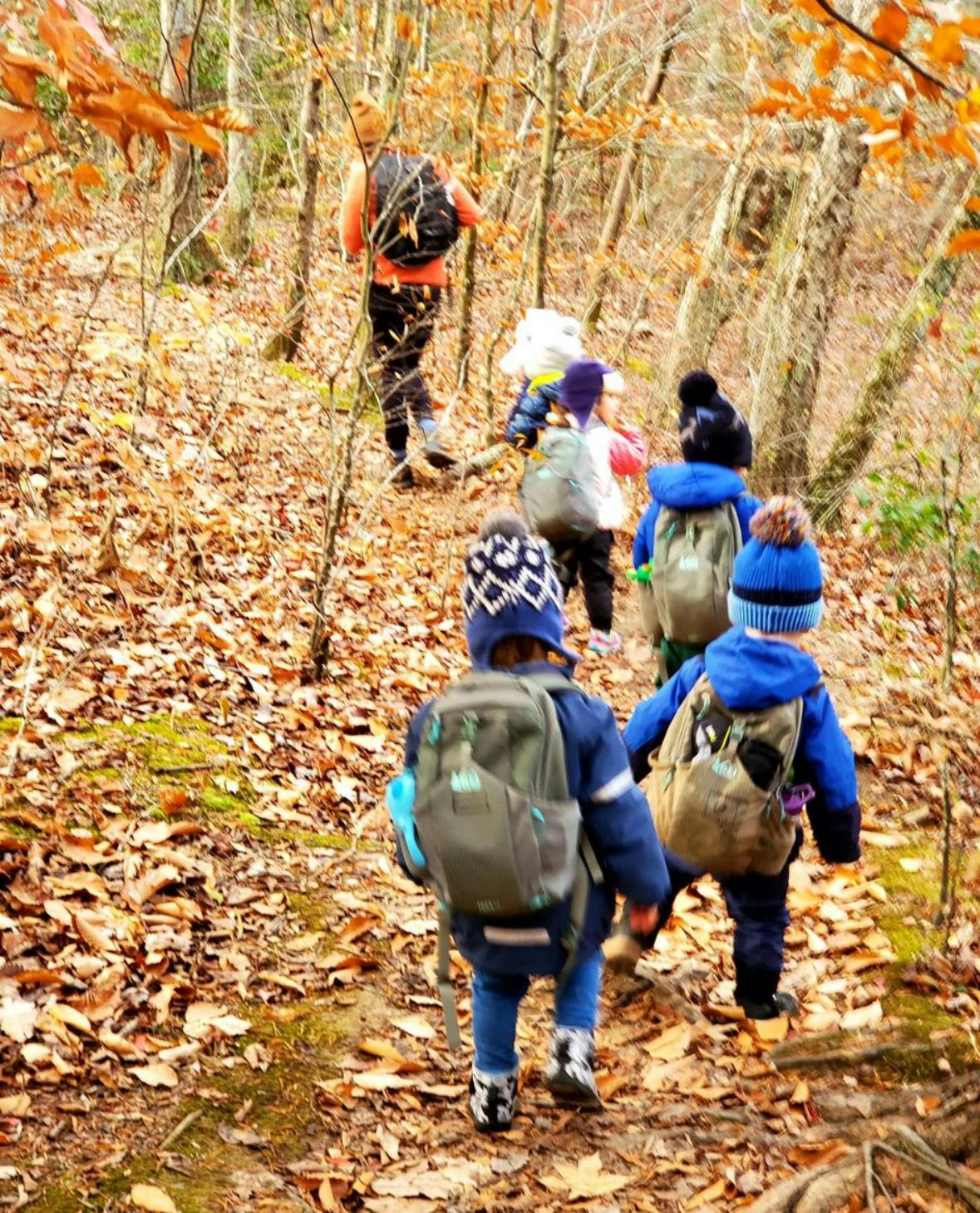 Adult and several children hiking on a leaf-covered trail in a forest