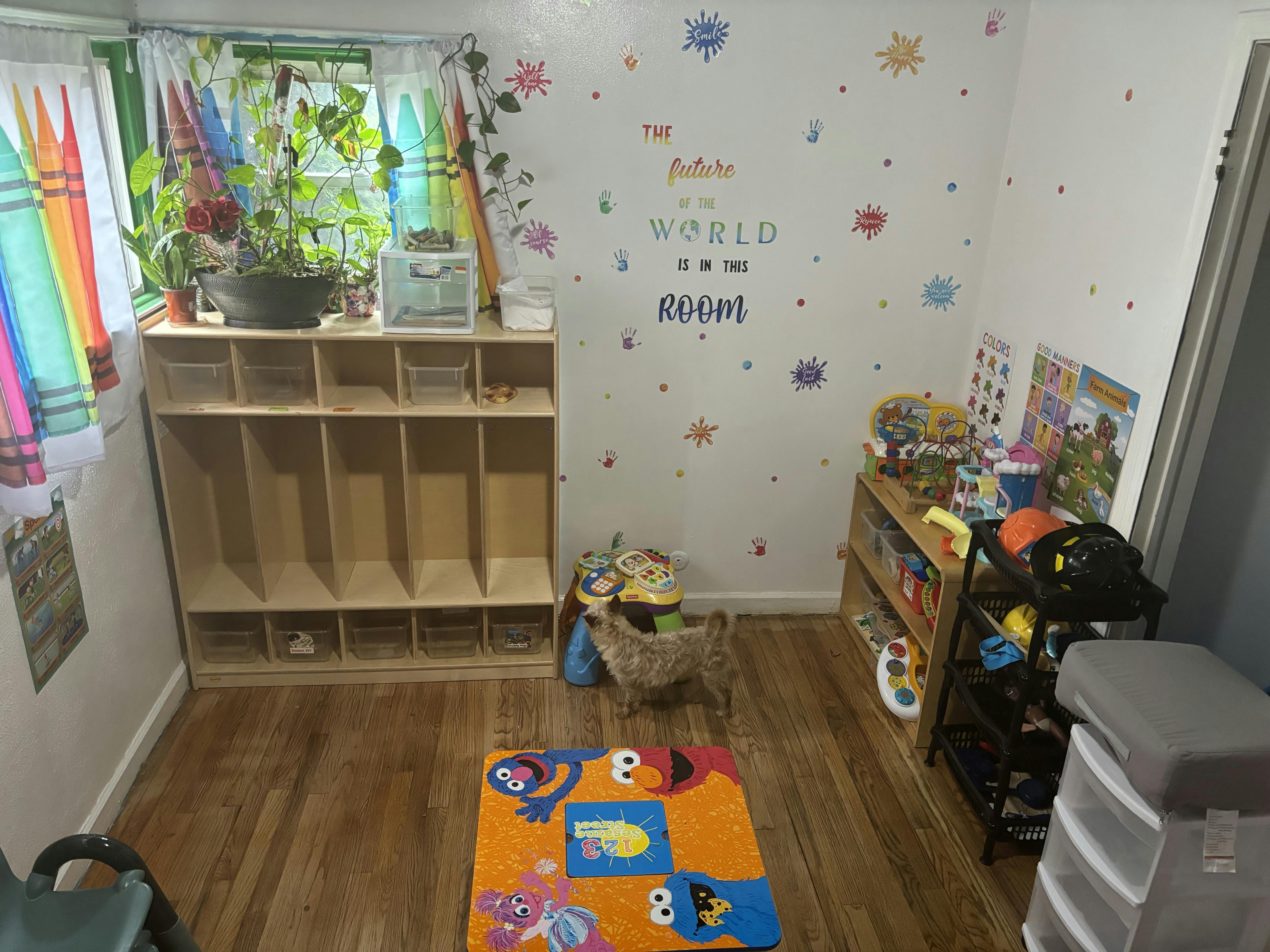 Playroom with cubbies, shelves, and a colorful rug