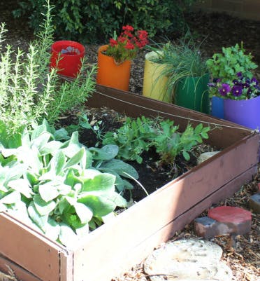 Raised garden bed with plants and colorful potted plants