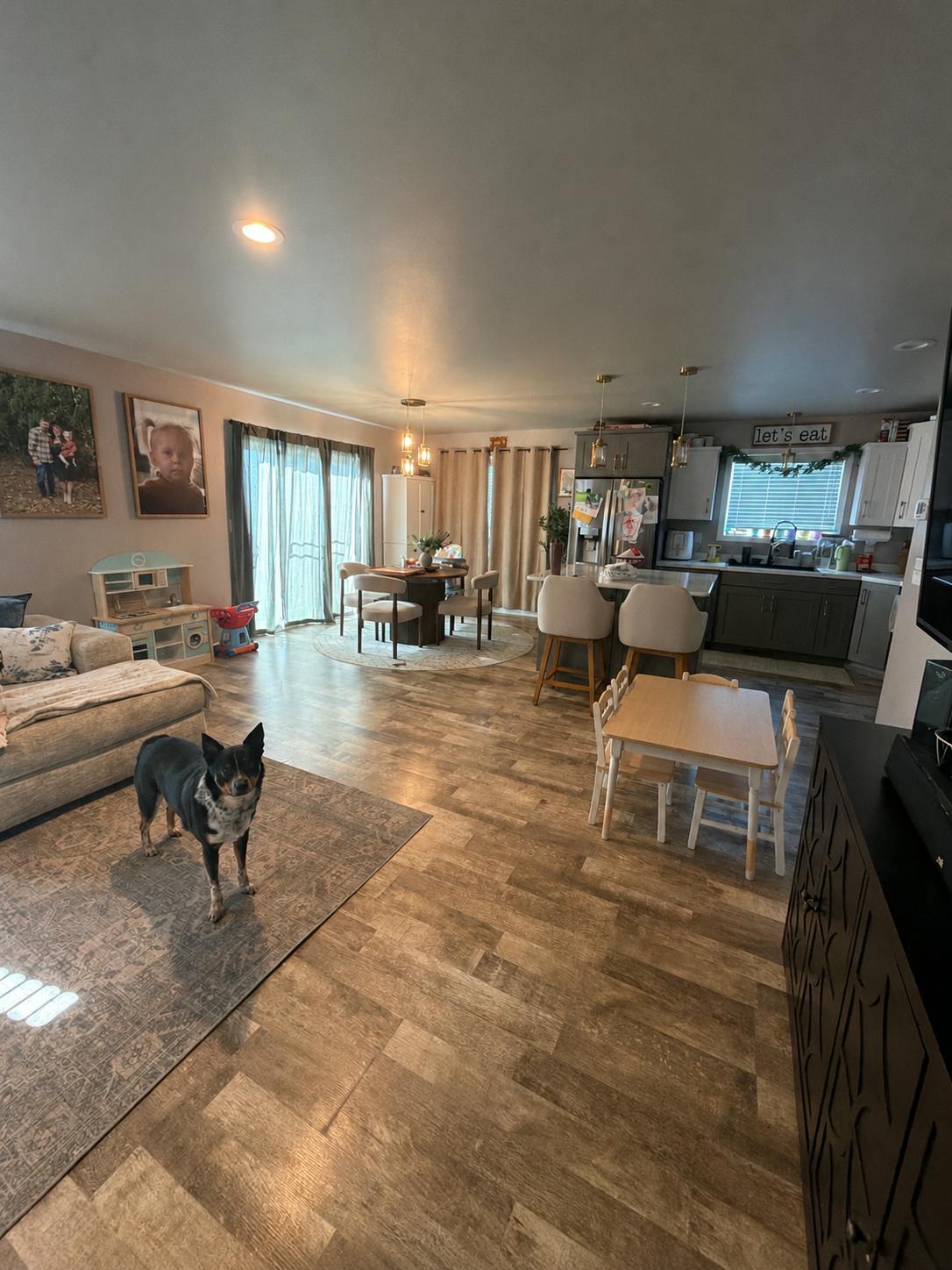 A black and white dog on a rug in an open-concept living room and kitchen