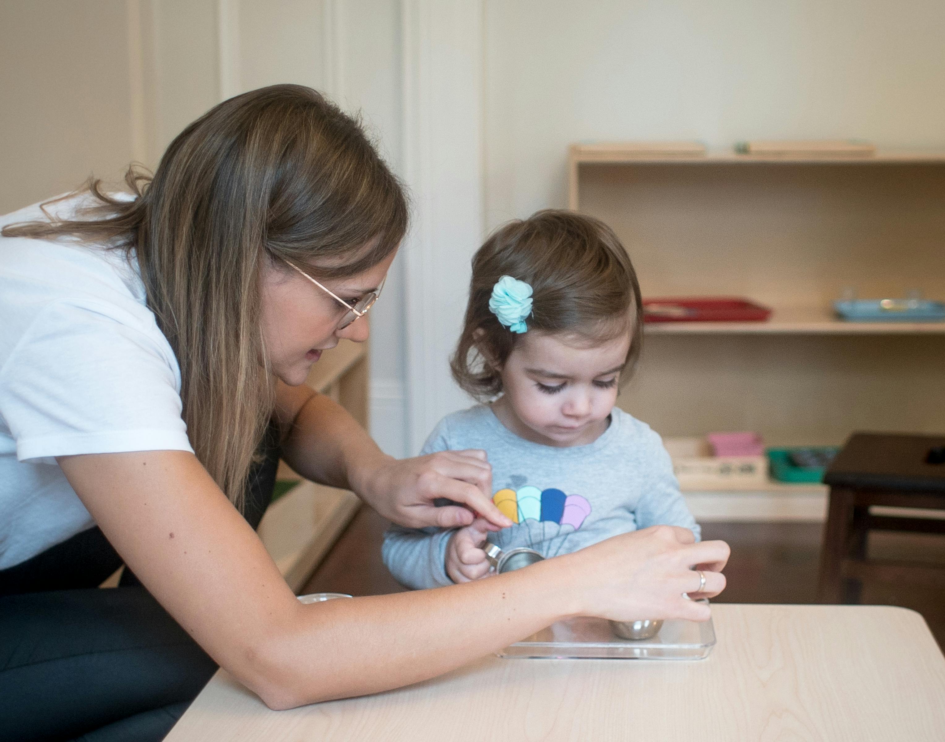 Atlanta Montessori International School (Druid Hills