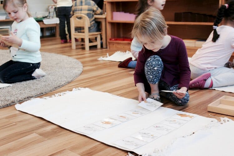 Child kneeling on floor looking at papers on a white mat