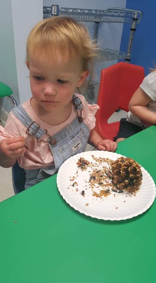 Child at a table with a pinecone covered in seeds on a paper plate