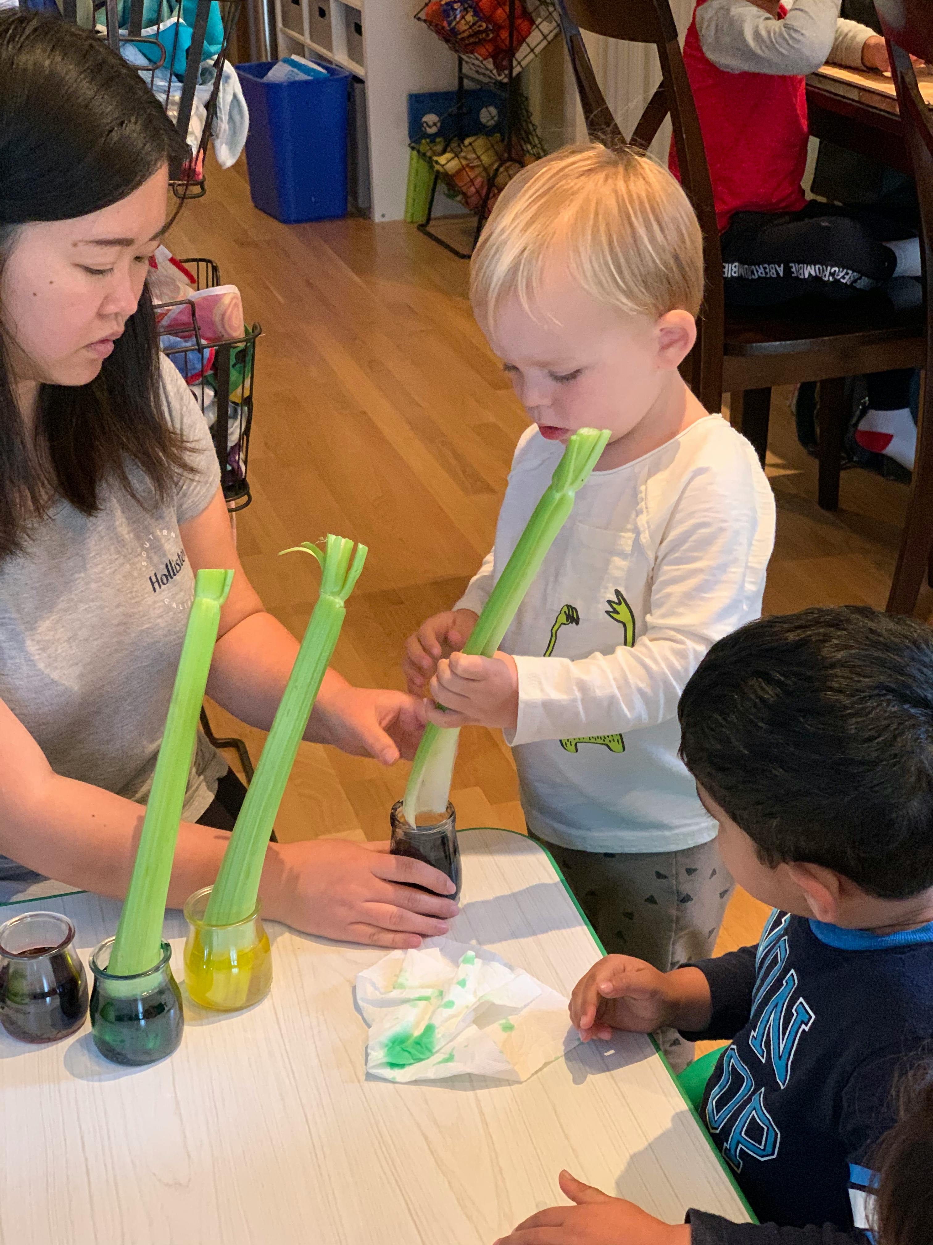Adult and two children doing a science experiment with celery stalks in colored water