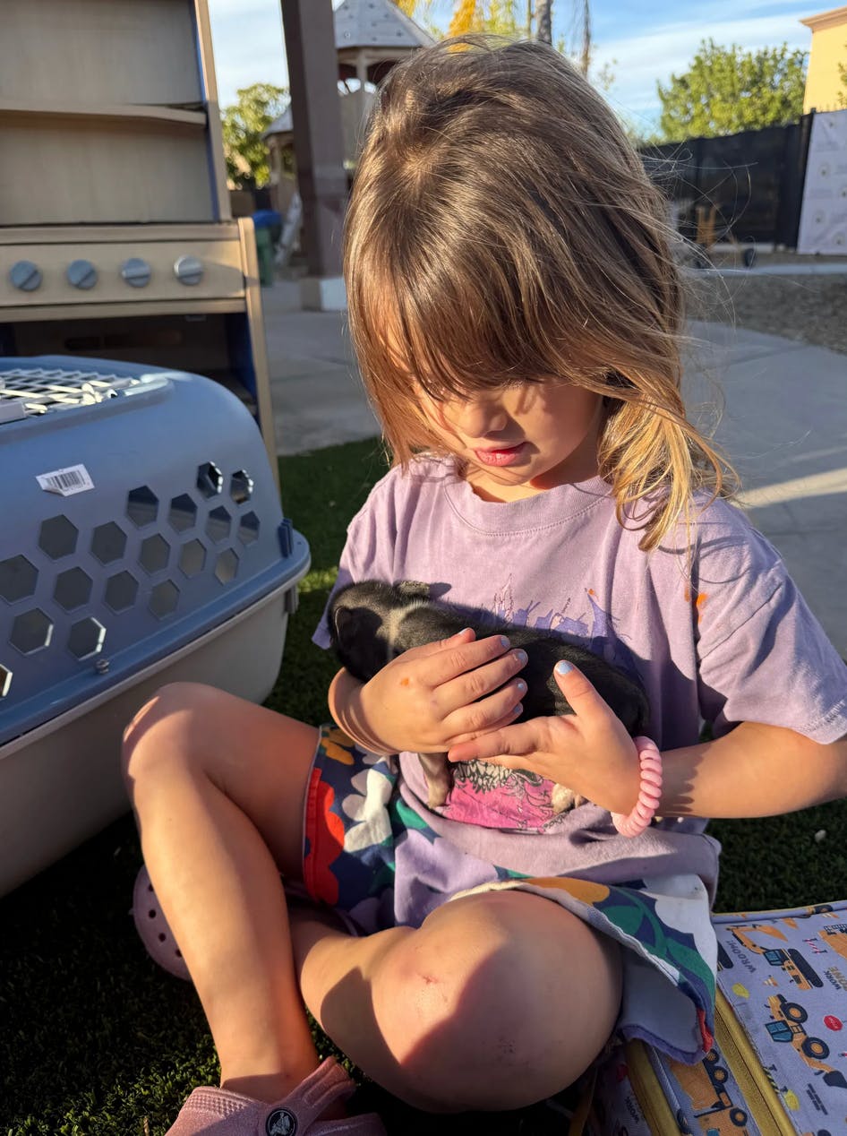 Child holding a small black and white puppy