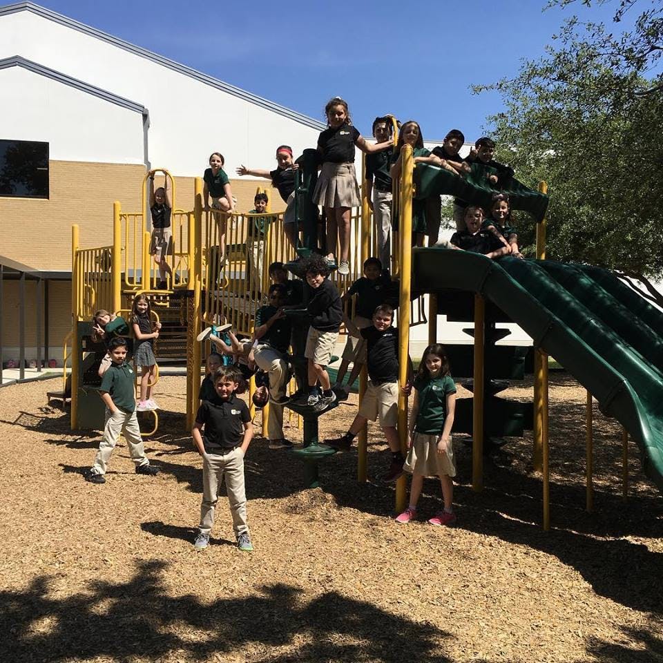 Group of children on a playground structure with slides and climbing structures
