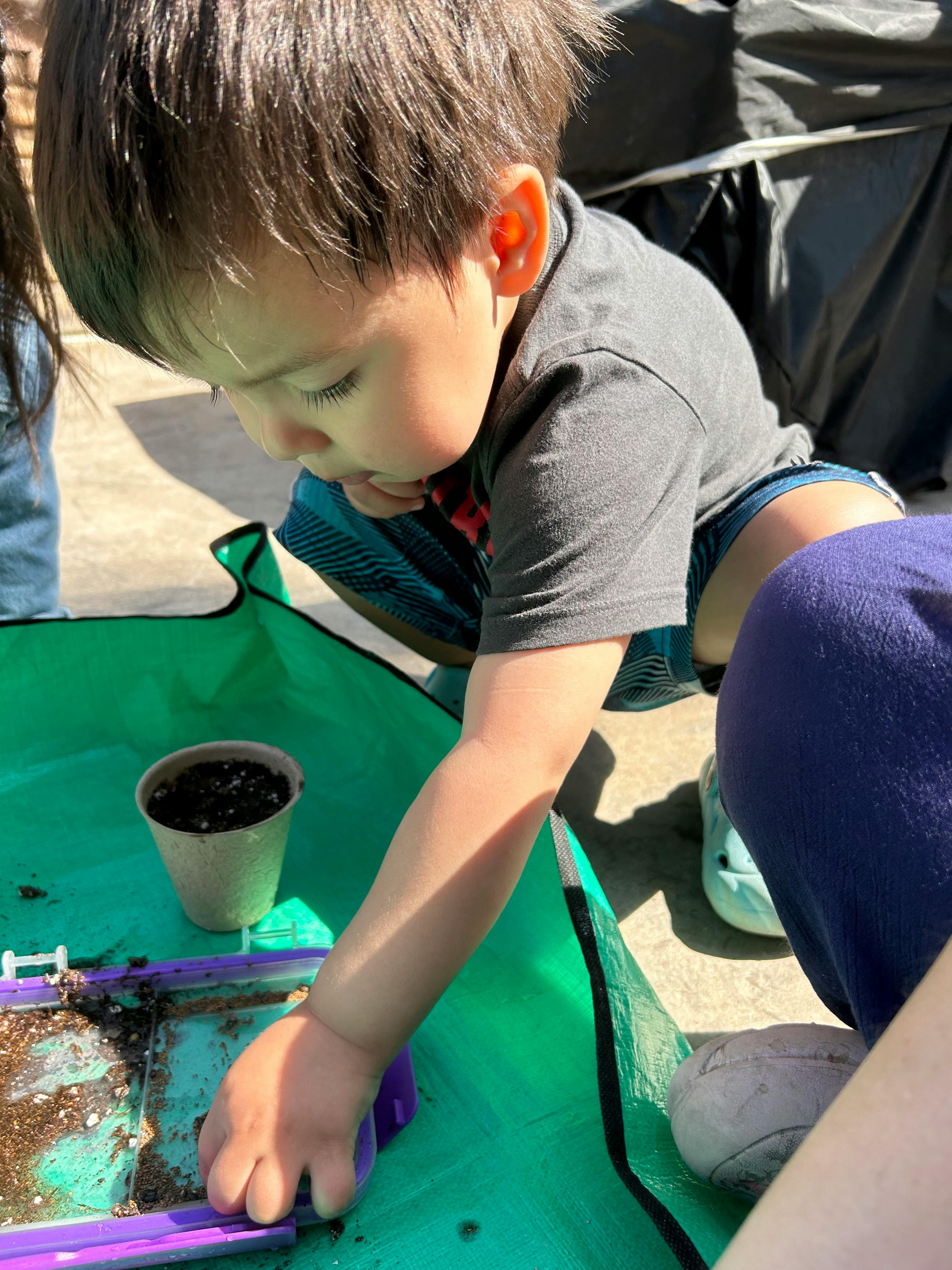 Child playing with dirt in a purple tray next to a small pot