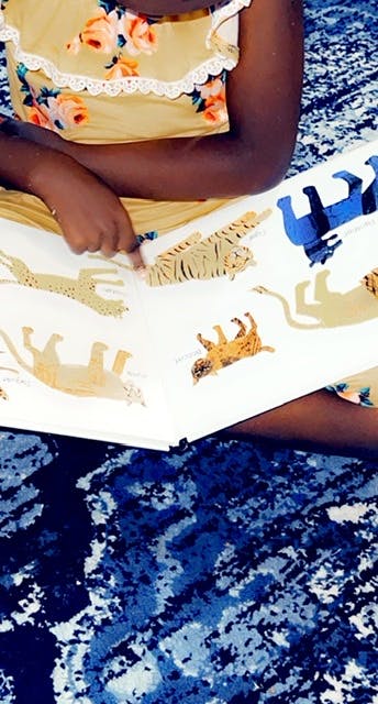 Child pointing at animal illustrations in a book