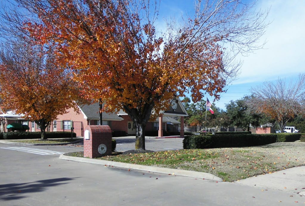 Trees with orange leaves in front of a building