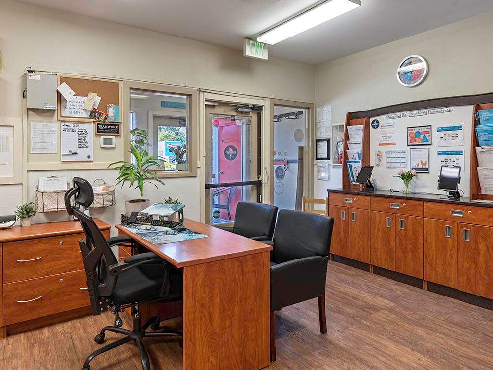 An office reception area with a desk, two chairs, and informational boards
