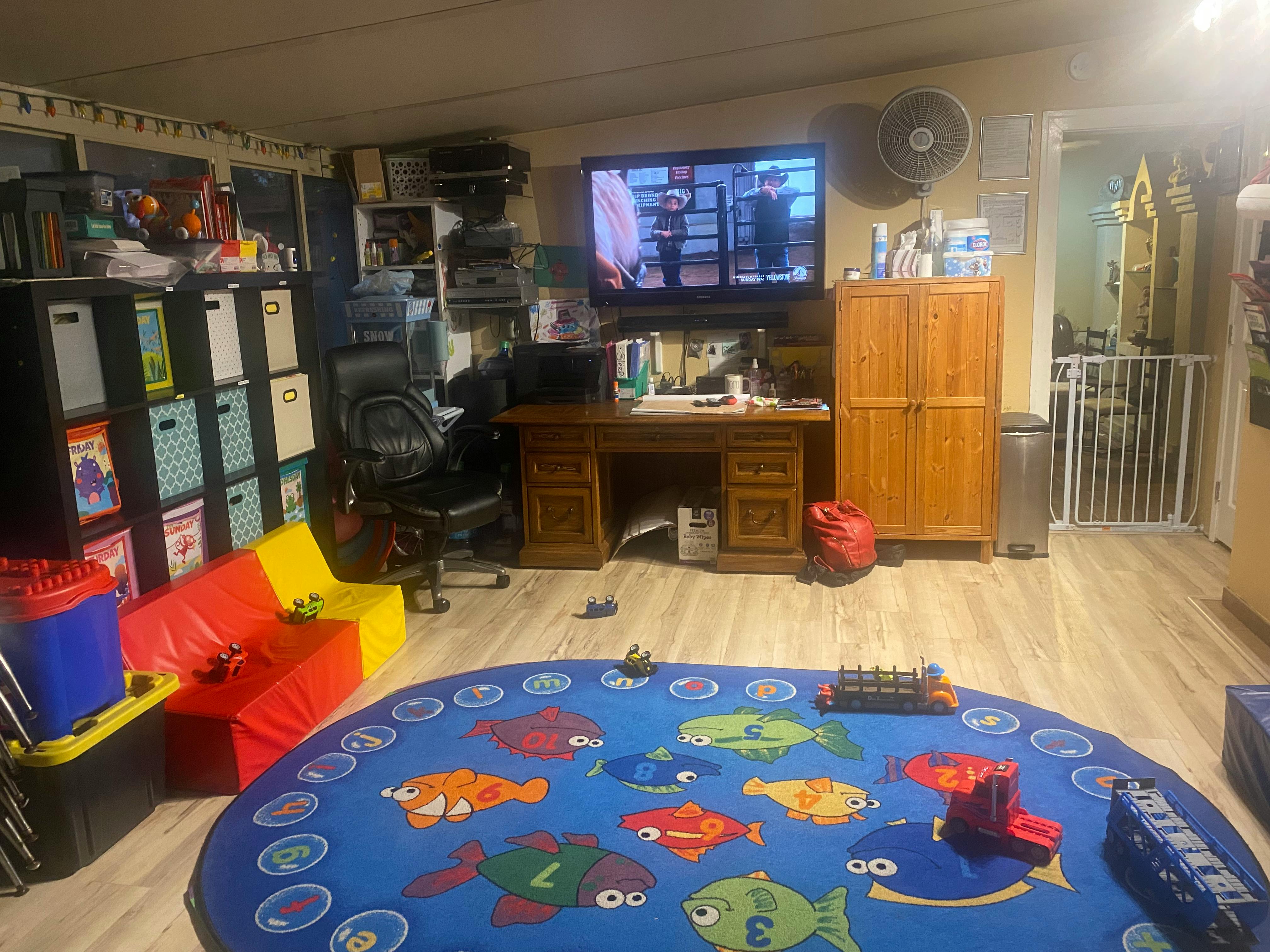 Living room with a TV, desk, storage shelves, and a fish-themed rug