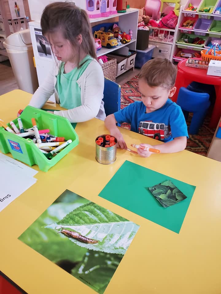 Two children at a table with art supplies and leaf pictures